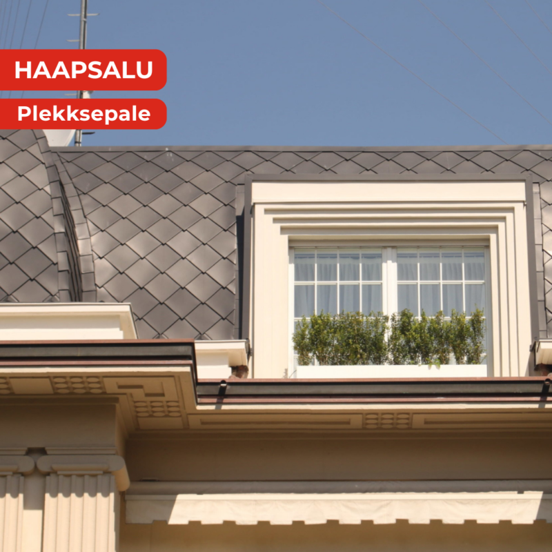 Titaantsink koolitus plekkseppadele Titaantsink koolitus plekkseppadele